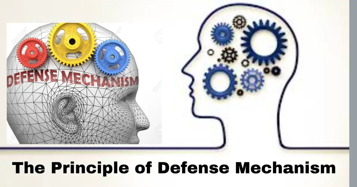 The Principle of Defense Mechanism