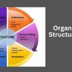 Organizational Structure/Culture