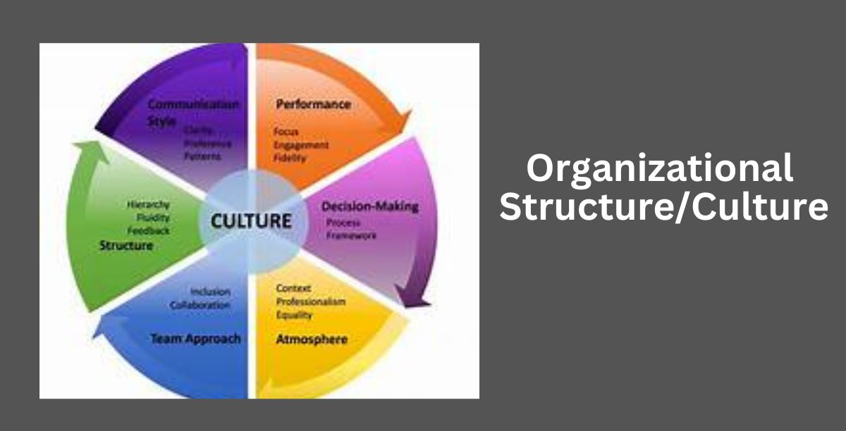 Organizational Structure/Culture